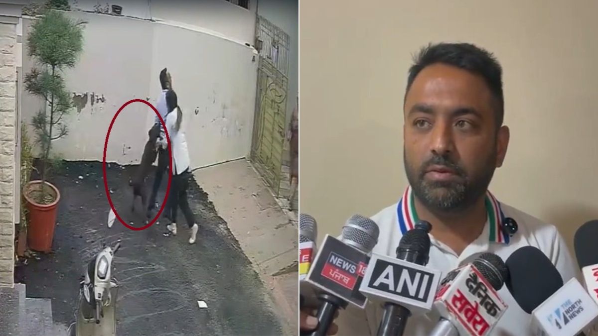 ‘मुझे न्याय चाहिए, मेरी पूरी बॉडी में टांके हैं, पत्नी ICU में', पिटबुल के हमले में घायल अंकित ने बयां किया दर्द