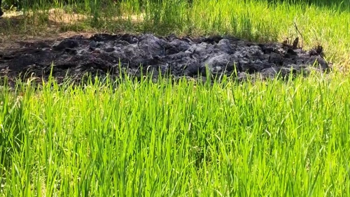 दामाद ने सास की हत्या कर भूसे के बोरे में जलाया शव, राख में मिली हड्डियां और तीन कंगन