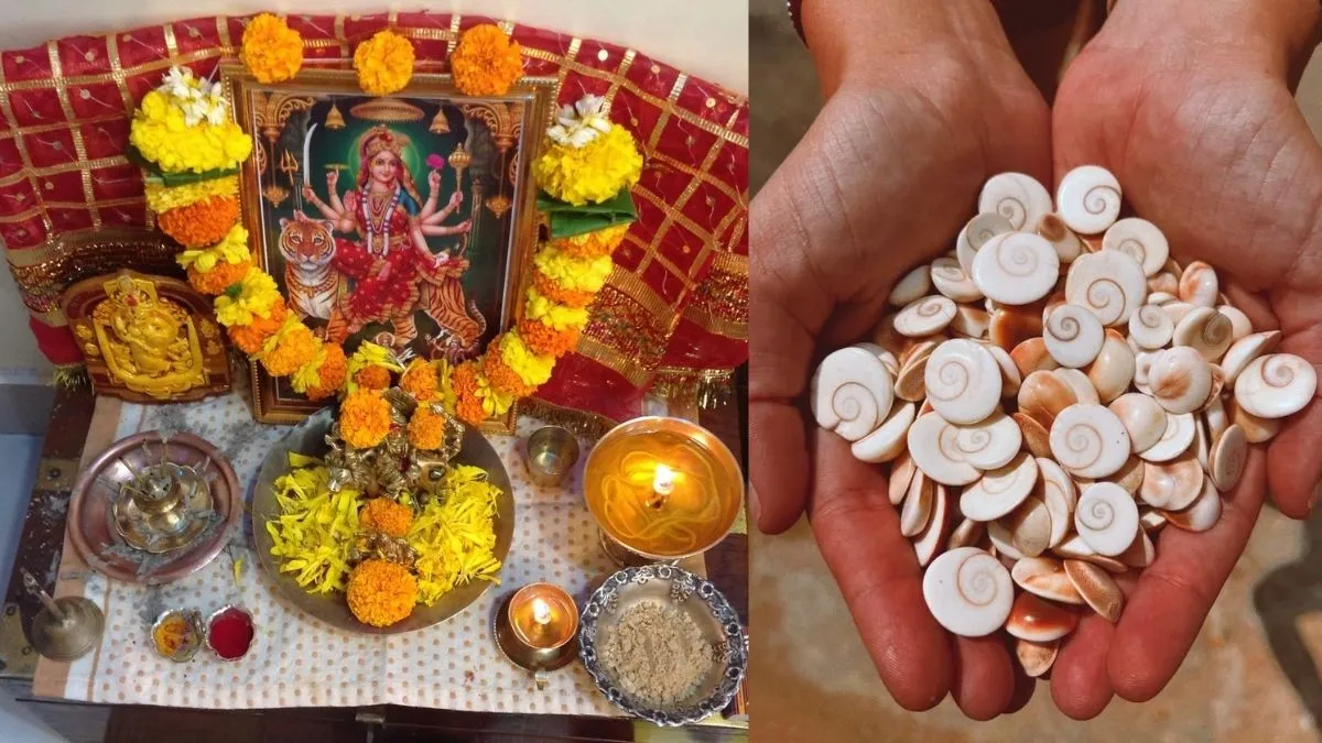 महानंदा नवमी पर करें ये खास उपाय, कई परेशानियों से मिलेगी मुक्ति, 5 कौड़ियों से तरक्की की राह हो सकती है आसान महानन्दा नवमी उपाय, Mahananda Navami - India TV Hindi