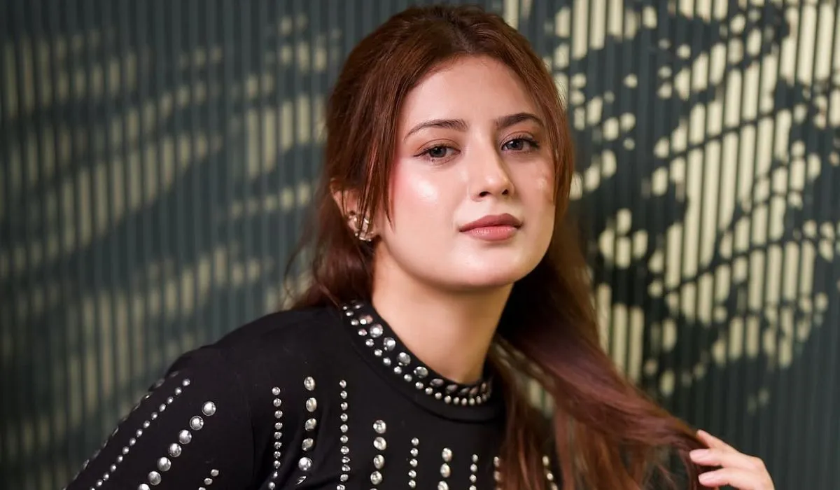 अरिश्फा खान का टिकटॉक के दौर काफी नाम रहा है, लेकिन इसके बंद होने के बाद उन्होंने इंस्टाग्राम और यूट्यूब पर कंटेंट बनाना शुरू किया।। उनके कंटेंट में फैशन, ब्यूटी, लाइफस्टाइल और एंटरटेनमेंट शामिल हैं, जिससे उन्हें टीवी से कहीं ज्यादा बड़ी फैन फॉलोइंग बढ़ाने में मदद मिली है। वह सोशल मीडिया पर सबसे ज्यादा अपने मेकअप और फैशन वीडियो के लिए चर्चा में रहती हैं।