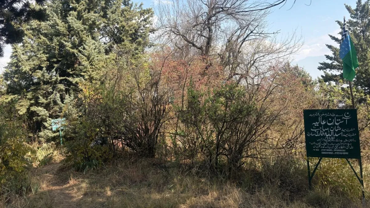 कश्मीर में शंकराचार्य मंदिर के रास्ते पर स्थित मजार को लेकर विवाद, जीर्णोद्धार पर उठे सवाल Kashmir Shankaracharya Temple shrine mazar controversy- India TV Hindi
