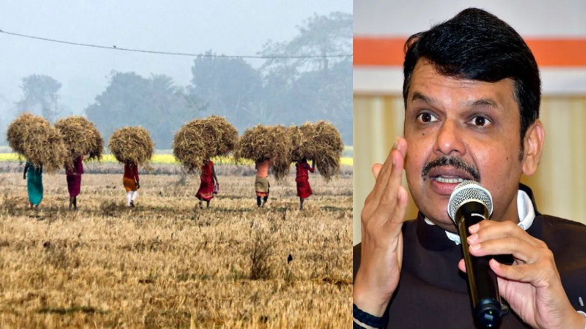 1.5 करोड़ किसानों को इसी हफ्ते मिलेंगे 5000 रुपये, आगे भी दी जाएगी सहायता, CM फडणवीस ने दिया निर्देश maharashtra farmers rs 5000 aid- India TV Hindi