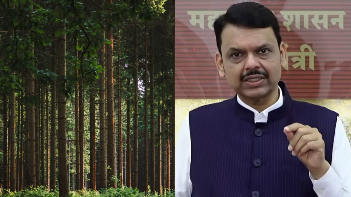 32 हजार से ज्यादा पेड़ों की कटाई को लेकर घमासान, CM फडणवीस बोले- ’28 करोड़ पेड़ जितना प्रदूषण कम करेगा प्रोजेक्ट’