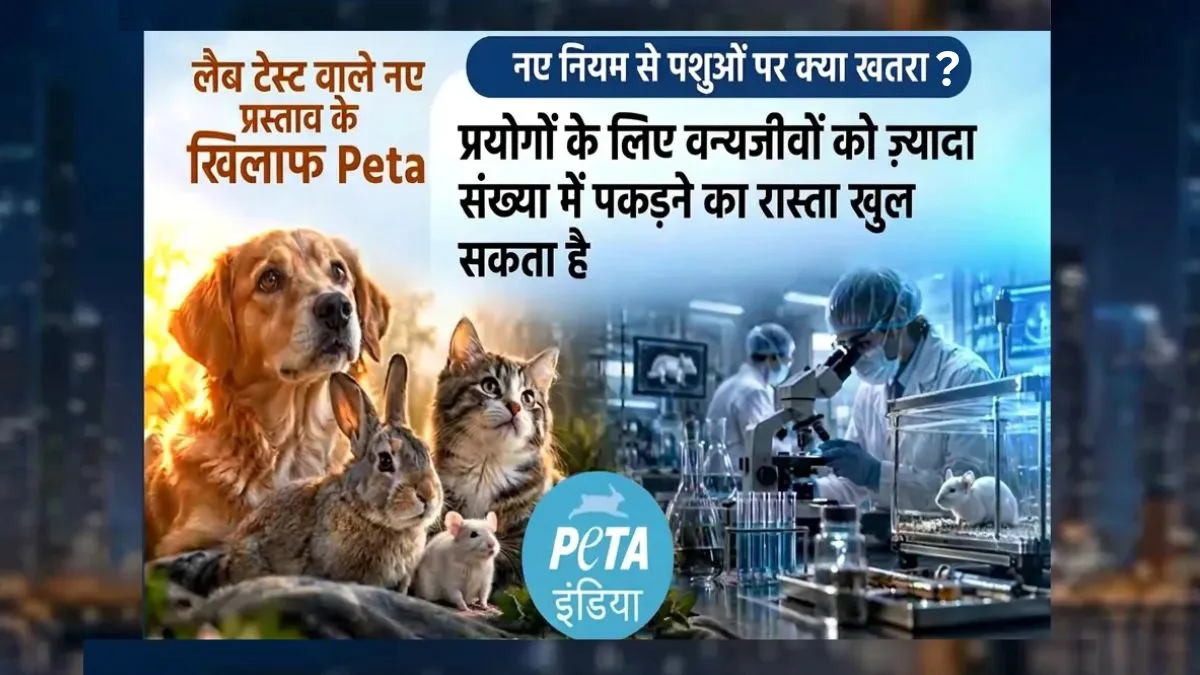 जानवरों पर एक्सपेरीमेंट के नियमों में बदलाव का ड्राफ्ट जारी, PETA ने जताया विरोध, कहा- 'पशुओं पर क्रूरता बढ़ेगी' PETA- India TV Hindi