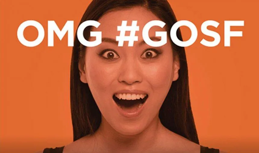Good Bye GOSF: गूगल के ग्रेट ऑनलाइन शॉपिंग फेस्टिवल का हुआ अंत, 2015 से नहीं लगेगी सेल- India TV Paisa
