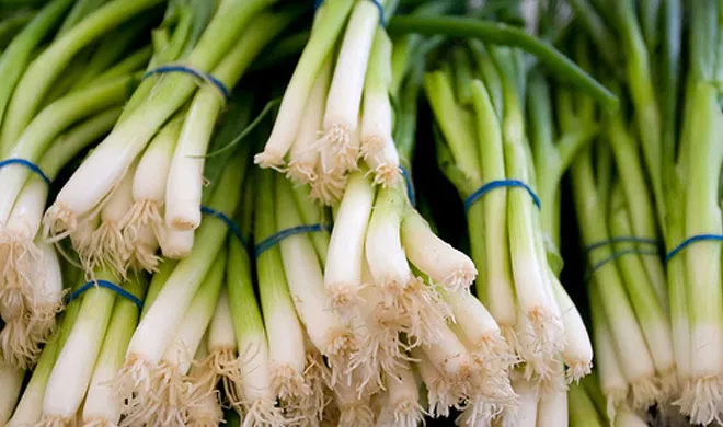 benifit of spring onion- India TV Hindi