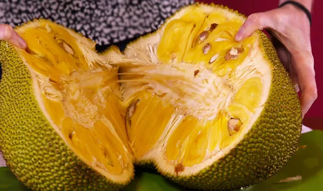 jackfruit - India TV Hindi