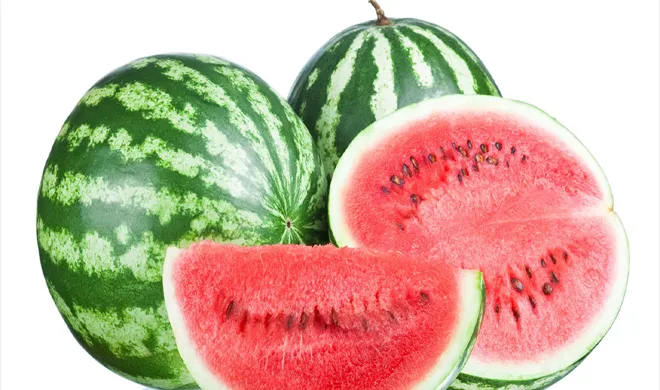 watermelon- India TV Hindi