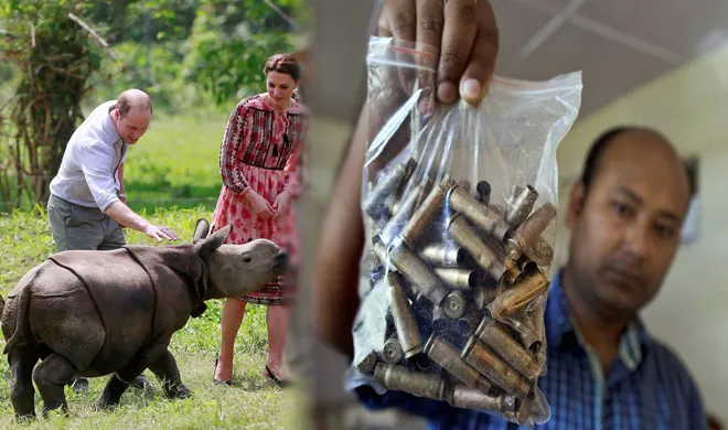 kaziranga- India TV Hindi