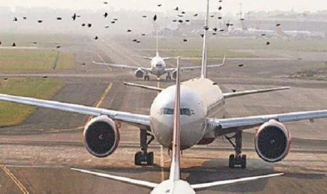 सुरक्षा उपाए बेहतर होने से टली हवाई दुर्घटनाएं: DGCA प्रमुख- India TV Paisa