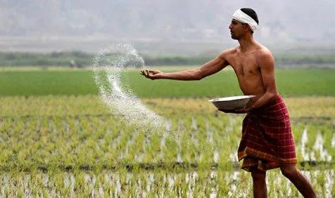 सेवाओं पर कृषि कल्याण उपकर लगाने के फैसले पर पुनर्विचार की मांग, उत्‍पादन लागत बढ़ने की आशंका- India TV Paisa