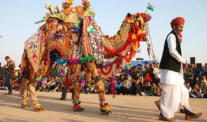 camel- India TV Hindi