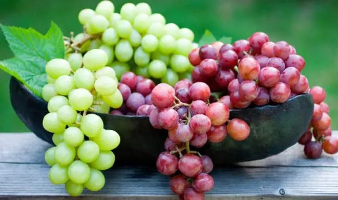 grapes- India TV Hindi