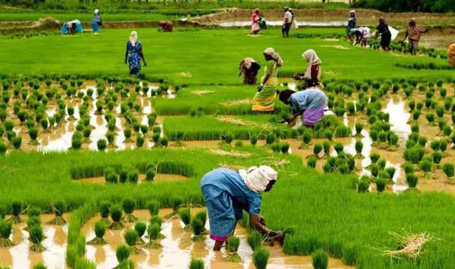 Green Revolution- India TV Hindi