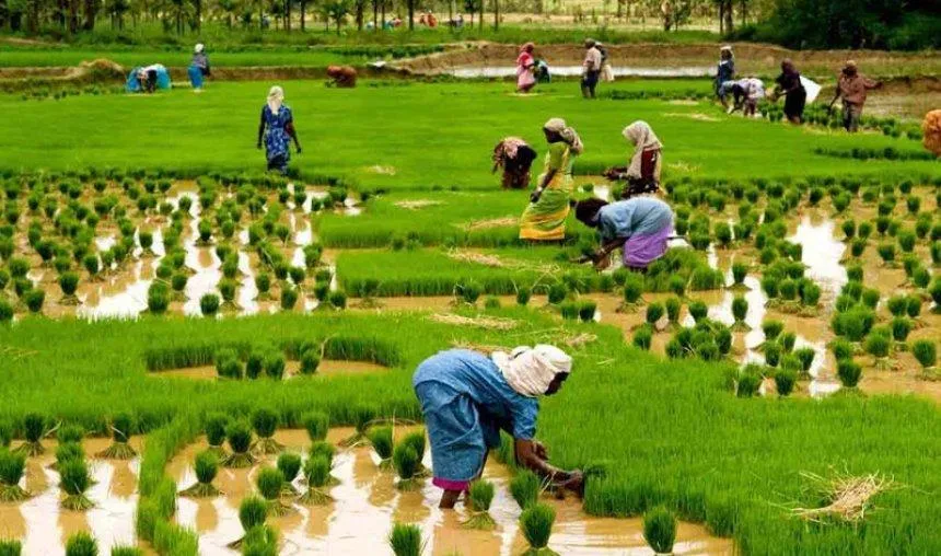 मौसम विभाग की महाराष्ट्र में बुआई धीमी रखने की सलाह, मानसून आने में अभी लगेगा समय- India TV Paisa