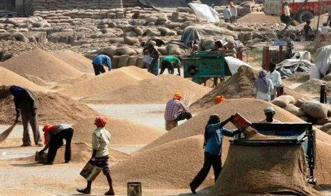सरकार का 2016-17 में रिकॉर्ड 27 करोड़ टन खाद्यान्न उत्पादन का लक्ष्य, बेहतर मानसून की है संभावना- India TV Paisa