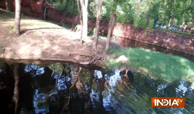 zoo- India TV Hindi