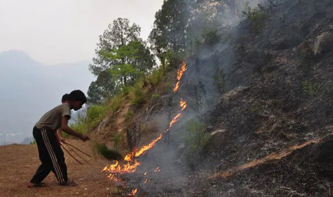 uttarakhand fire- India TV Hindi
