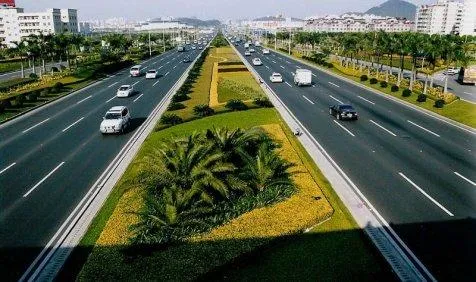 एक जुलाई को 1,500 किलोमीटर राजमार्ग के आसपास लगाए जाएंगे पौधे, सरकार करेगी 5,000 करोड़ रुपए खर्च- India TV Paisa