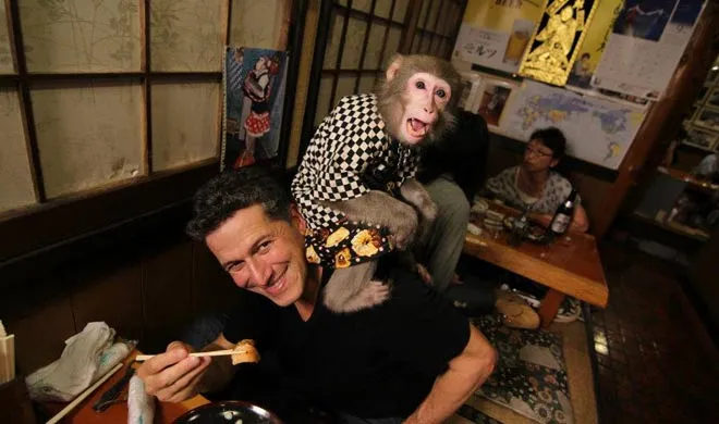 monkey waiter, tokyo- India TV Hindi