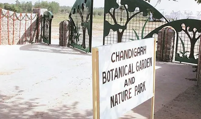 Chandigarh Capitol Complex readied for International Yoga...- India TV Hindi