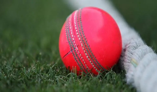 Pink cricket ball for test- India TV Hindi