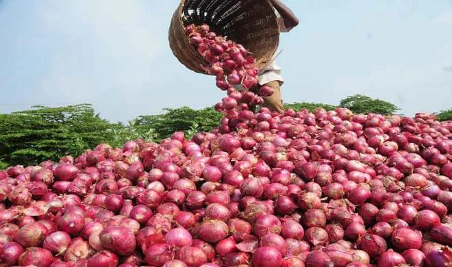 onion farmers- India TV Hindi