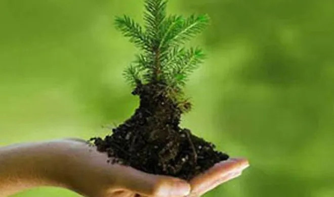 environment day- India TV Hindi