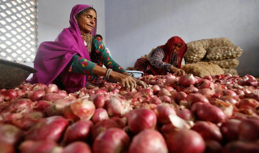 प्याज का भाव पहुंचा 8 महीने की ऊंचाई पर, निर्यात में बढ़ोतरी से किसानों को मिलने लगा जायज दाम- India TV Paisa