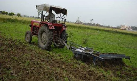 किसानों का इस बार दालों की खेती पर जोर, देश में दलहन का रकबा 39 फीसदी बढ़ा- India TV Paisa