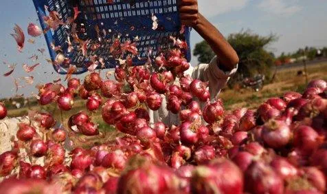 For Farmer’s Sake: गडकरी ने व्यापारियों से कहा, प्याज का निर्यात बढ़ाएं और किसानों को बचाएं- India TV Paisa