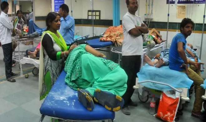 chikungunya- India TV Hindi