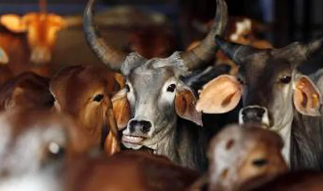 attacks on the name of cow slaughter are alarming- India TV Hindi