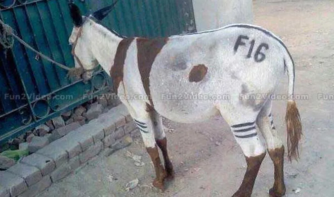 Photo Courtesy: Fun2Video.com- India TV Hindi