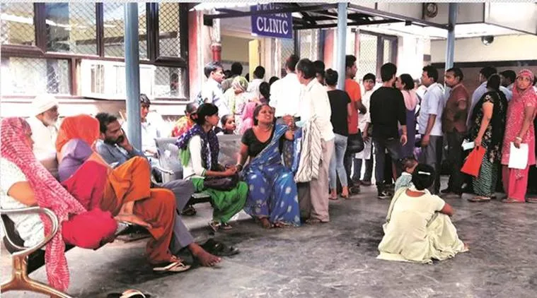 chikungunya- India TV Hindi