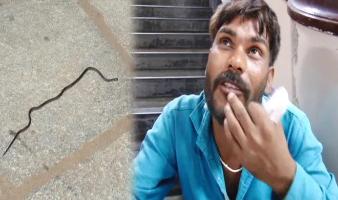 snake case indore- India TV Hindi
