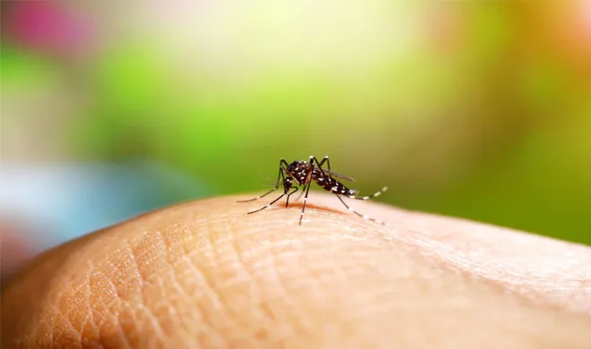 seven thousand dengue case registered in uttar pradesh- India TV Hindi