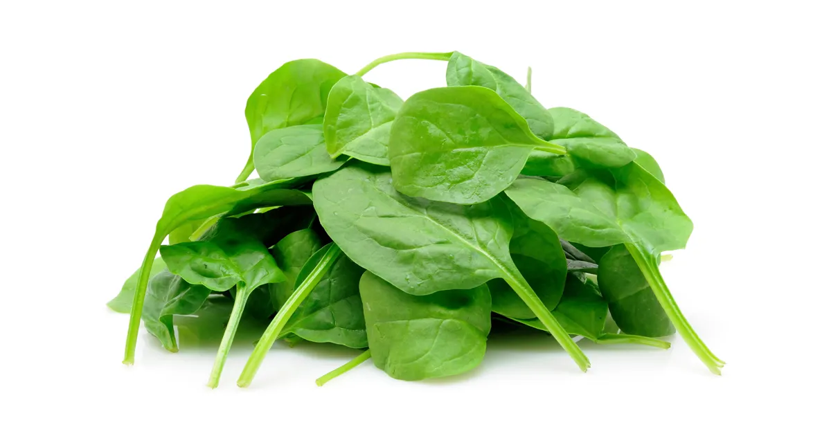 Spinach- India TV Hindi