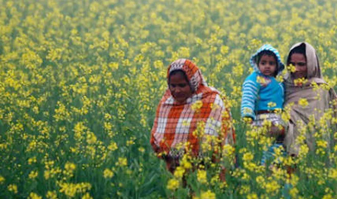 winters arrive as temperature drops in uttar pradesh bihar...- India TV Hindi