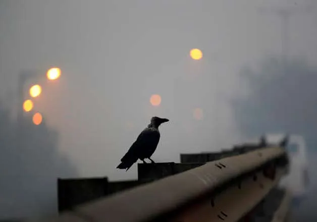 Smog in Delhi | AP Photo- India TV Hindi