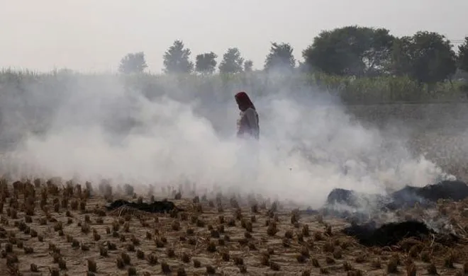 Crop Burning | AP File Photo- India TV Hindi