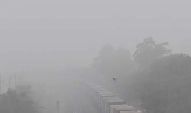 temperature falls in uttar pradesh as fog increases- India TV Hindi