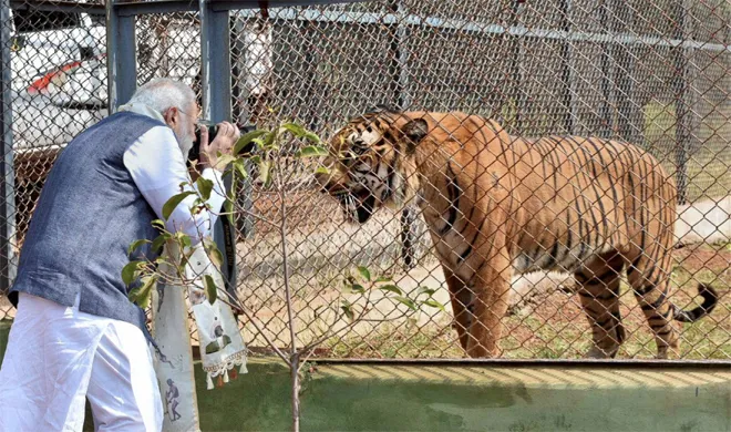 Modi Tiger- India TV Hindi