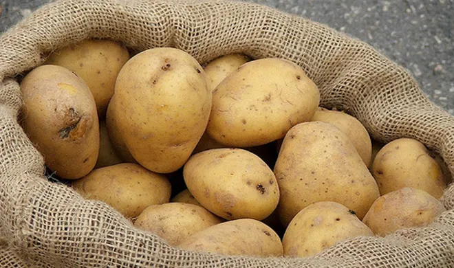 potatoes- India TV Hindi