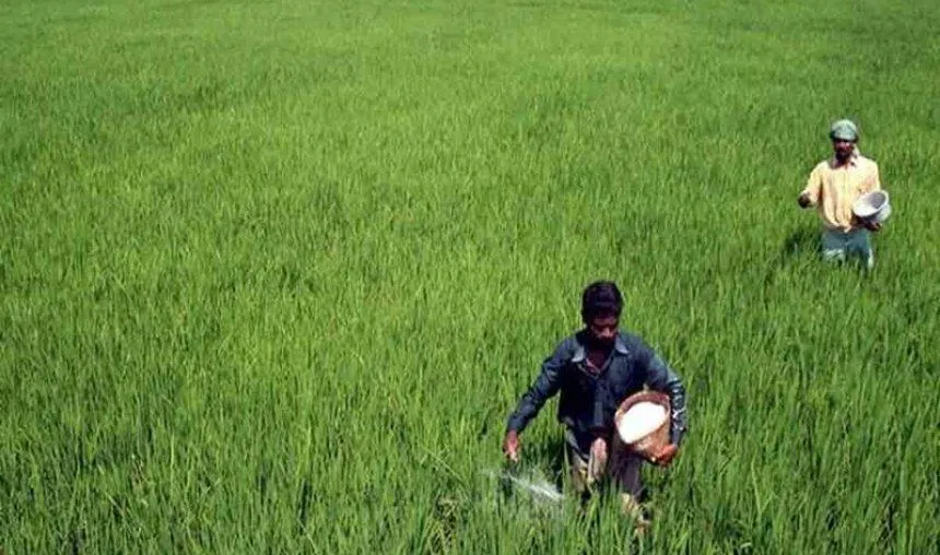 देश में बढ़ा रबी फसल की बुवाई का रकबा, चीनी उत्पादन 66 लाख टन तक पहुंचा- India TV Paisa