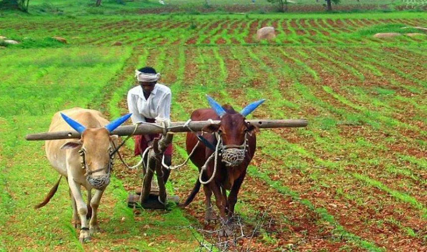 कृषि लागत एवं मूल्य आयोग ने गैर-फसली कृषि ऋण पर भी ब्याज सहायता देने की सिफारिश की- India TV Paisa