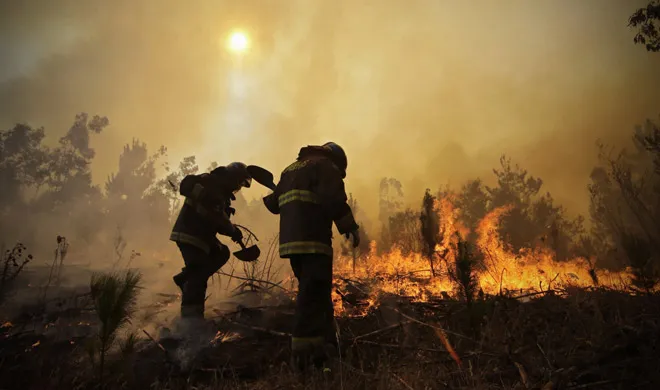 Chile Wildfire | AP Photo- India TV Hindi