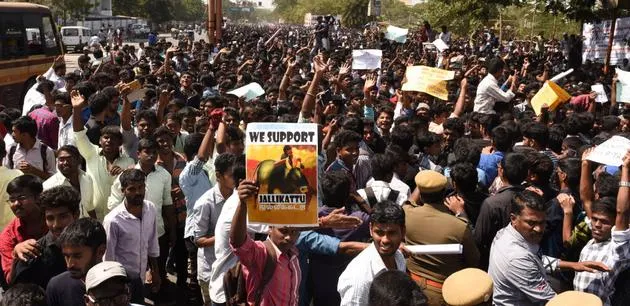 Jallikattu, Protest, Arrest- India TV Hindi