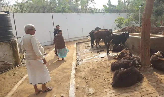 Lalu prasad- India TV Hindi