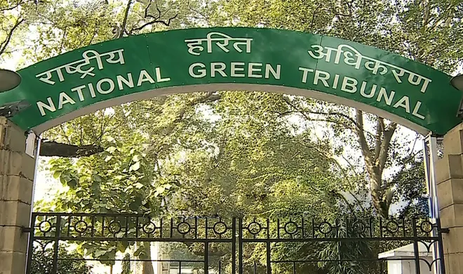 ngt- India TV Hindi